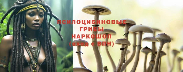 ALPHA-PVP Алексин