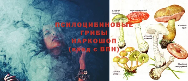 круглые Алексеевка