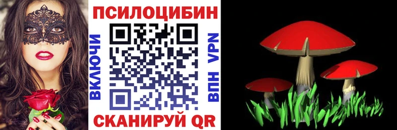 Галлюциногенные грибы Cubensis  МЕГА ONION  Енисейск  что такое наркотик 